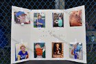 Softball Senior Day  Wheaton College Softball Senior Day. - Photo by Keith Nordstrom : Wheaton, Softball, Senior Day